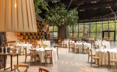 Spacious event hall featuring round tables, chairs, and indoor trees. Ideal for weddings or conferences. — Unlock the Hidden